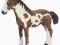 SCHLEICH 13695 ROCZNIAK PINTO