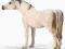 SCHLEICH 13630 KLACZ ARABSKA