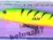 Wobler Rapala Down Deep Husky Jerk 12cm FT
