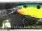 Wobler Rapala Deep Tail Dancer 11cm 22g PRT