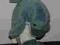 delfin TY  16cm