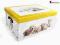51x37x24cm Pudełko składane karton PIESKI - ŻÓŁTY