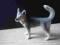 schleich husky AUKCJA CHARYTATYWNA