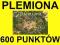 600 200 pp punktów PREMIUM Plemiona punkty pkt GG