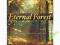 Eternal Forest - Las, Deszcz, Wodospad, Relaksacja