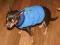 UBRANKO DLA PUPILA KAMIZELKA OCIEPLANA DLA PIESKA