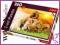 PUZZLE LWIĄTKO 260 -