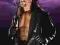 WWE Wrestling Undertaker plakat 61x91,5 cm
