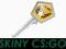 CS:GO Klucz Winter Offensive Weapon Case Key STEAM