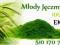 MŁODY JĘCZMIEŃ 200 G NAJTANIEJ TEL 510170767 HIT !