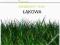 TRAWA MIESZANKA TRAW ŁĄKOWA 10kg NAJTANIEJ