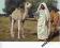 LIBIA - WIELBŁĄD - MĘŻCZYZNA - FOLKLOR - STROJE