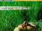 2 CD Wellness Muzyka Relaksacyjna SPA Stres Folia