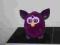 FURBY FIOLETOWY, POSZUKIWANY HASBRO !!!