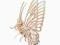 PUZZLE DREWNIANE 3D PRZESTRZENNE MAŁY MOTYL