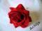 Sally Gardens NOWA KOLEKCJA CZERWONA RÓŻA WELUR