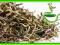 Herbata Zielona GREEN NEEDLE (50g) NOWOŚĆ !!