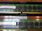 1GB DDR2 533MHz HYNIX PC2-5300e 555
