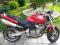 honda hornet cb 600 nie yamaha suzuki cbf bandit