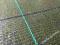 AGROTKANINA  ZIELONA 100g/m2 1,05m x100m NAJTANIEJ