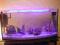 Akwarium profilowane 112 l + cały osprzęt