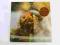 DAVID BEDFORD Star's End LP EX+ UK 1st Press