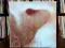 PINK FLOYD Meddle LP UK 1st Press A2/B3