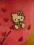 pianki Hello Kitty  34 35