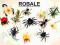 ZWIERZĘTA insekty ROBALE  5-8cm 12szt OWADY