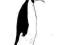 Pingwin R- rysunek oryginalny REGNER