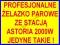 PROFESJONALNE ŻELAZKO PAROWE ASTORIA 2000W TANIO