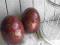 Duże jajo ceramiczne stojące bordowy/brązowy