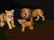 SCHLEICH ZESTAW TYGRYSY 14370, 14370+ LEW 14373