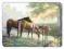 ŚREDNIE PODKŁADKI MATY KORKOWE JASON Konie Horses