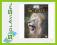 BIG CATS: White Lions: King of Kings [DVD]