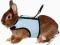 Szelki dla  królik królika - TX 61513