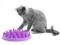 CATCH interaktywny karmnik miska dla kotów kot