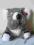Maskotka - piękny miś koala 18cm z Niemiec