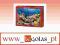 Puzzle 1000 - Rafa koralowa (C-101511-1)