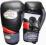Rękawice BOKSERSKIE MASTERS 10 oz RBT-ET Siedlce