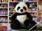 PANDA mega maskotka PLUSZAK MIŚ PANDA PLUSZ 3+