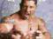 WWE Wrestling Batista - plakat 40x50 cm