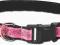 AmiPlay obroża NX 24-42cm, różowa w kwiatki