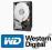 Dysk twardy WD Blue 3.5'' 500GB SATA/600 - GLS