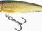 WOBLER SALMO MINNOW 7F RR WOBLER BYDGOSZCZ