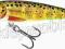 WOBLER SALMO MINNOW 7F TROUT WOBLER BYDGOSZCZ