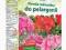 NAWÓZ MINERALNY DO PELARGONII OGRÓD I BALKON 1kg