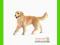 [MALAKO_PL] SCHLEICH Golden retriever, suczka