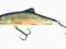 Salmo Skinner 20 cm. Pływający SK20F RR.