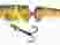 Salmo Whitefish 13 cm. Pływający SW13JD